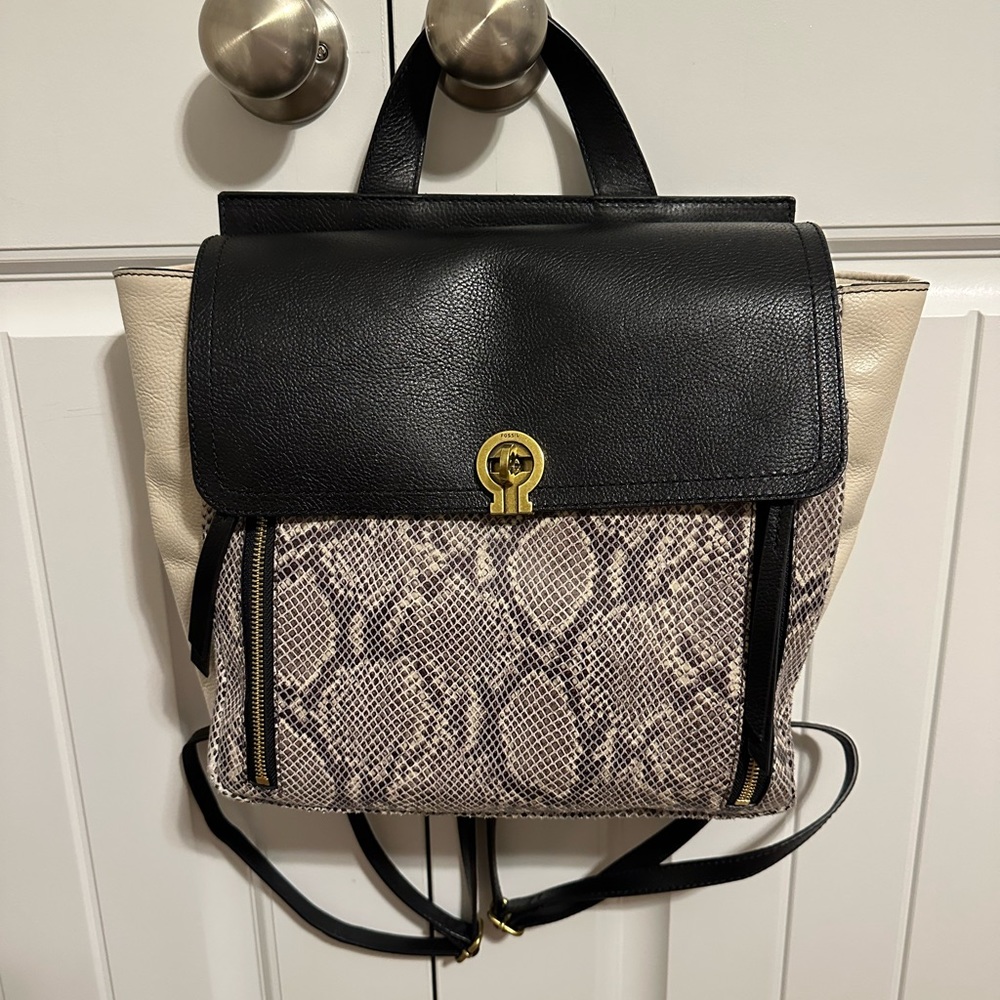 Fossil Backpack